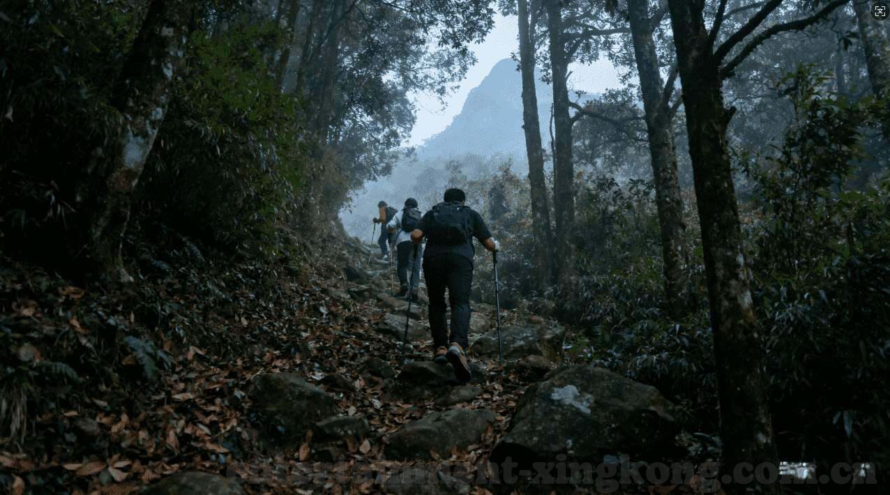 世界杯今晚实况传播-世界杯今晚实况传播，激情与科技的碰撞